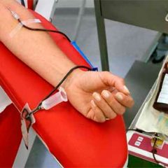 Leve incremento del 1.5%  en Segovia de las donaciones de sangre