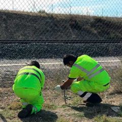 Cuando los trenes se salen de la vía y los dedos se sujetan con yeso