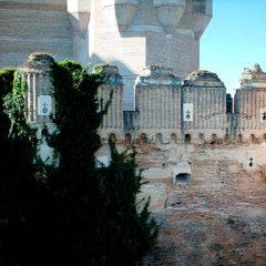 El PSOE insta a la Junta a eliminar la hiedra del castillo de Coca