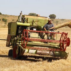 Cosechadoras: la máquina que lo cambió todo