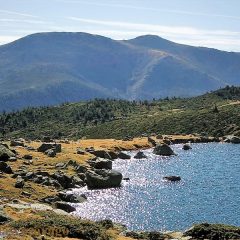 La Granja recupera la carrera Kilómetro Vertical a la cima del Peñalara