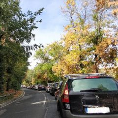 Atención, madrileños sueltos