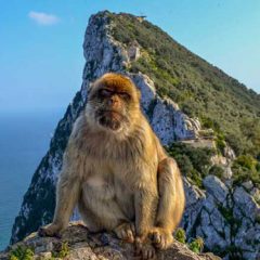 Entonces, Gibraltar español ¿No?