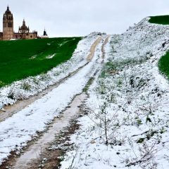 Concurso de fotografía “La Noche de la Dama”