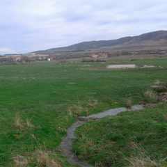 Palazuelos recupera su coto de caza