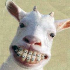 Por un puñado de euros