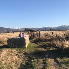 La renovación es mejor sin cambios