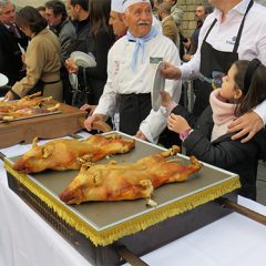 PROCOSE busca colaboración para establecer el Centro de Interpretación del Cochinillo