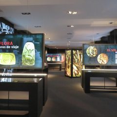 El Arte de la Medalla, nueva exposición temporal en la Casa de la Moneda