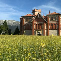 De familias, saraos y bueyes gordos