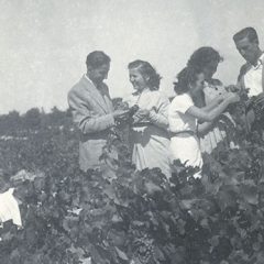 Nieva en el siglo XX a través de 500 fotos familiares