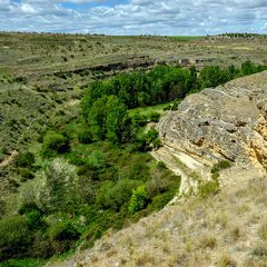 Abierto el proceso de licitación de obras de biodiversidad en Tejadilla y varios barrios