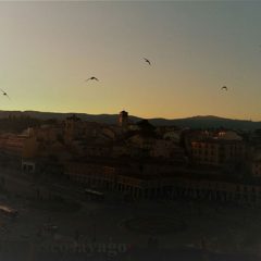 Entre vuelos y biodiversidad: vuelve el Festival de Vencejos a Segovia