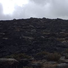 Un verano que arde