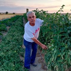 Martín Muñoz, aquí hay tomate
