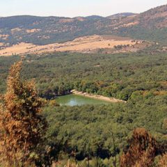 Patrimonio reactiva la pugna por el agua de La Granja
