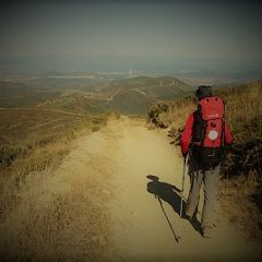 Semana Cultural 2019 ‘Amigos del Camino de Santiago de Segovia’