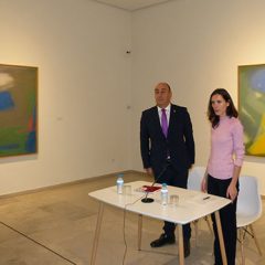 El Esteban Vicente no cobrará entrada a partir de 2020