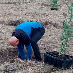 Voluntarios y alumnos de Madrid plantan 500 serbales en Fuenterrebollo