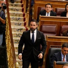 Vox y el tonto útil