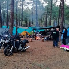 Cantalejo, un paddock en el pinar