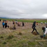 La Diputación impulsa la plantación de 3.300 árboles en la provincia