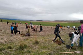 La Diputación impulsa la plantación de 3.300 árboles en la provincia