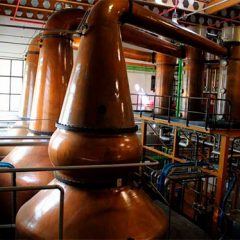 DYC dona 20.000 litros de gel desinfectante contra el coronavirus