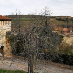 Desescalar el covid19 paseando por Segovia (V)