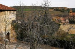 Desescalar el covid19 paseando por Segovia (V)