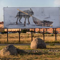 “Insurrecta” seguirá en Segovia hasta diciembre