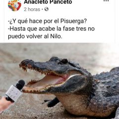 La nueva normalidad
