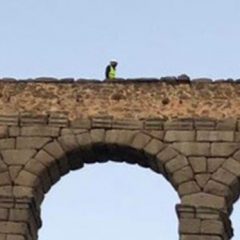 El bicho nocturno y el cara dura diurno