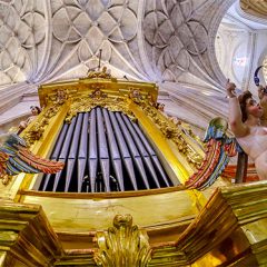 La Catedral recupera su majestuoso órgano con una inversión de 573.000€