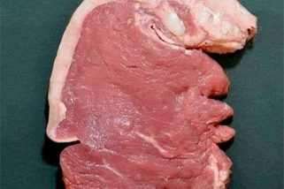 Ha elegido usted gasolina sin plomo