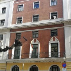 Entes torpes y entidades en reforma