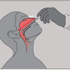 Echarle narices al virus
