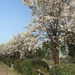 Cosas que no deberían ser