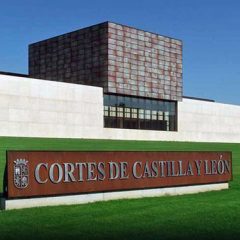 Debate en las Cortes regionales: De ‘gilipollas’ a ‘imbécil’ pasando por ‘delincuente’