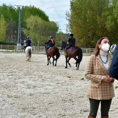 Agricultura crea 40 nuevas plazas de formación profesional en caballería y ganado