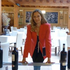 Aires gallegos para el nuevo proyecto del Hotel Santana