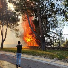 Saint Michel School: graduados en vandalismo