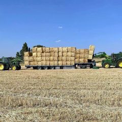 Investigada una empresa agrícola de Mozoncillo por utilizar productos tóxicos