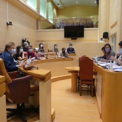 El Consejo de la Mujer de Segovia prepara el 25N