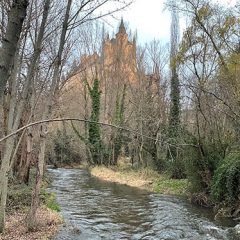 Retirado de arbolado del cauce del río Eresma