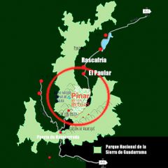 Parques Nacionales compra por 18,9M€ el pinar los Belgas de Rascafría