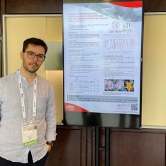 Un estudio segoviano prueba el beneficio inmunológico para los cerdos de comer algas