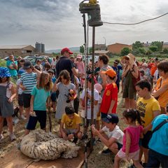 Traje de verano para las “ovejas funcionarias” de Trescasas
