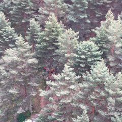 Recate en el Chorro Grande de una mujer que se rompió la pierna en una caída