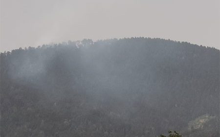 Los servicios de emergencias atajan un incendio en Cerro Pelado